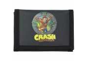 Big Box: Crash Bandicoot Crate Limited Edition